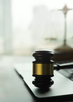 bilişim hukuku kursu fiyatları