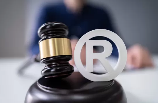 Marka Hukuku Kursu 4