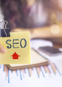 seo kursu fiyatları