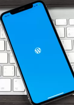 wordpress dersleri