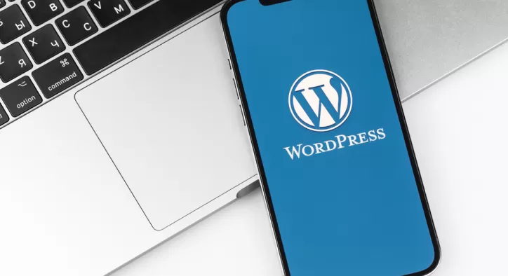 WordPress Eğitiminin Faydaları