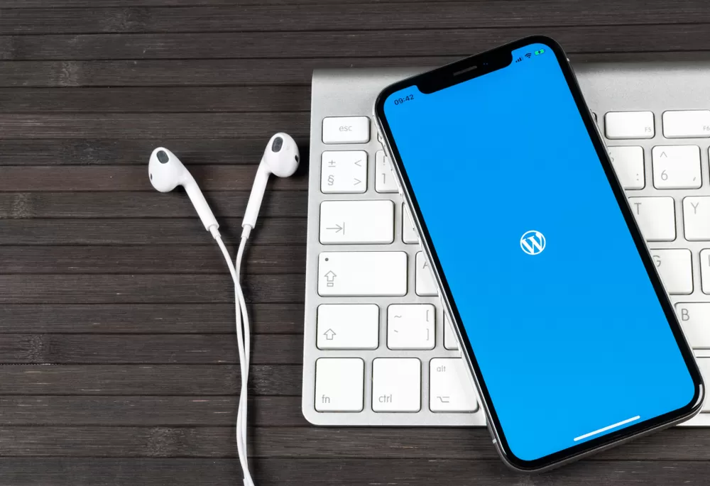 wordpress eğitimleri