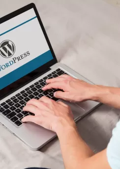 wordpress eğitimleri