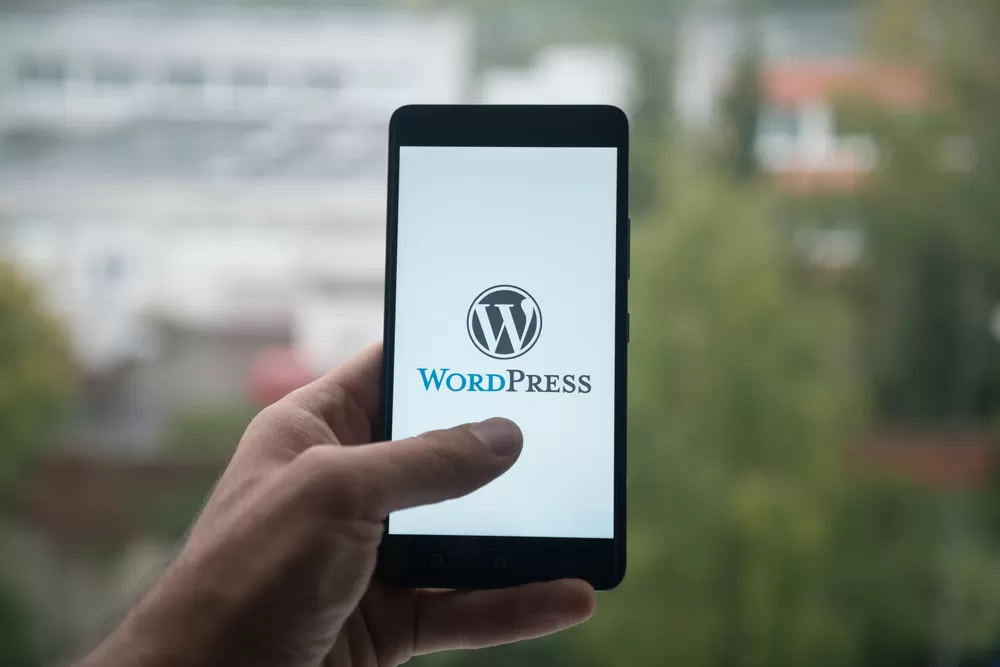 wordpress eğitimleri
