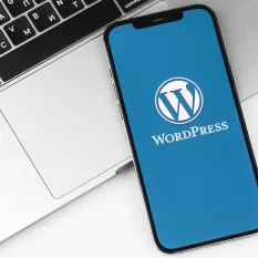 WordPress Kursu