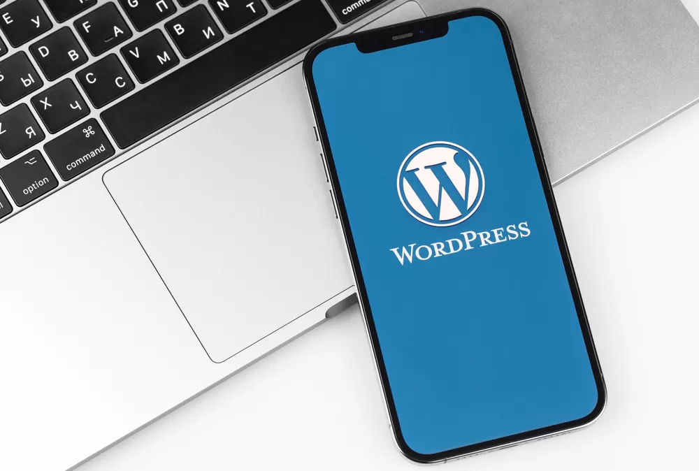 wordpress kursu